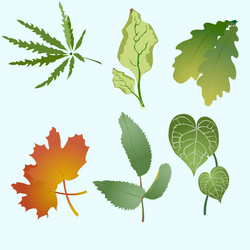 Similar image 8044102