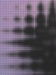 Similar image 8044234