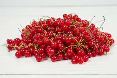 Similar image 8044642