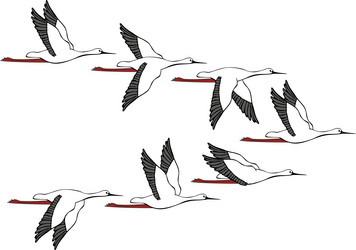 Similar image 8044997