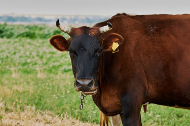 Similar image 8045406