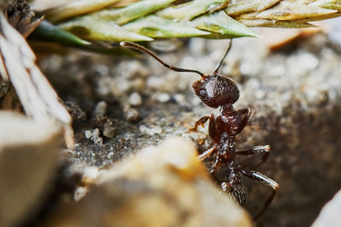 Similar image 8045414