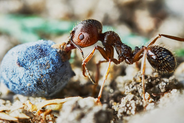 Similar image 8045415