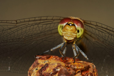 Similar image 8045438