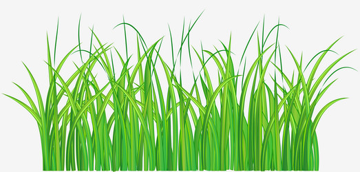 Similar image 8045477