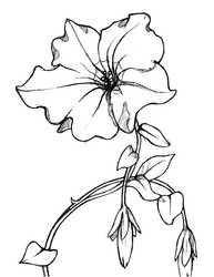 Similar image 8046126