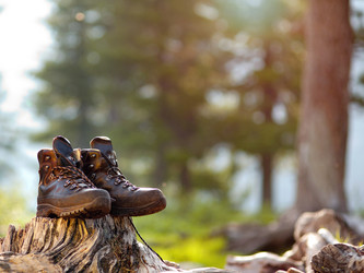 Similar image 8046134