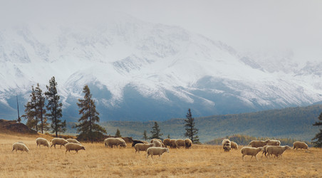 Similar image 8046135