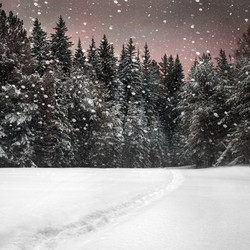 Similar image 8046145