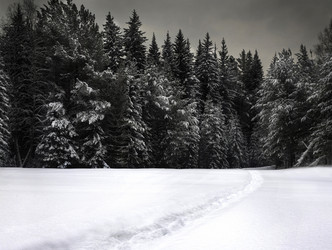 Similar image 8046146