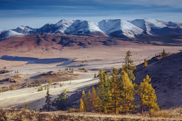 Similar image 8046154