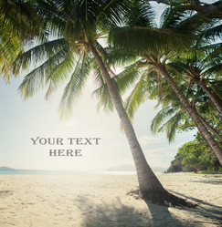 Similar image 8046156