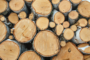 Similar image 8046173