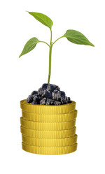 Similar image 8046215