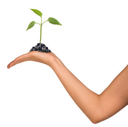 Similar image 8046232