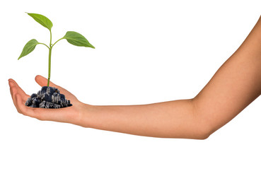 Similar image 8046234