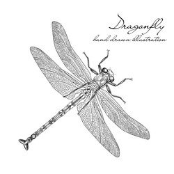 Similar image 8046291