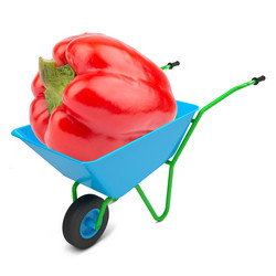 Similar image 8046452