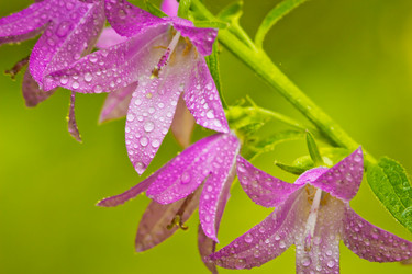 Similar image 8072667