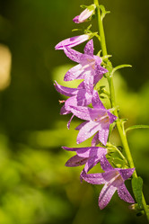 Similar image 8072668