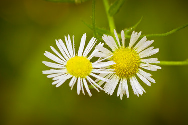 Similar image 8072669