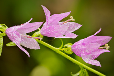 Similar image 8072670