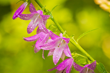 Similar image 8072671