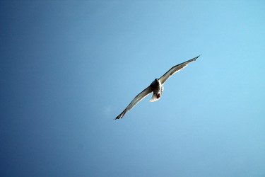 Similar image 8072680