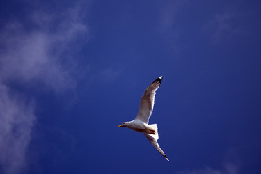 Similar image 8072681