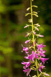 Similar image 8072683