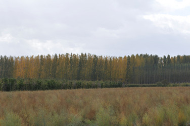 Similar image 8073045