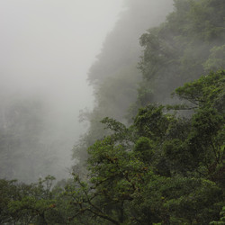 Similar image 8073049