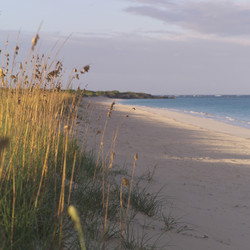 Similar image 8073061