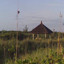 Similar image 8073092