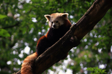 Similar image 8073093