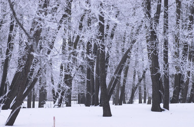 Similar image 8073095