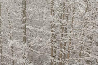 Similar image 8073096