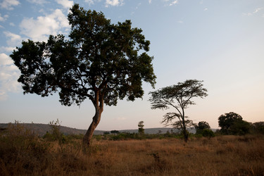 Similar image 8073100