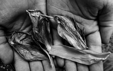 Similar image 8073124