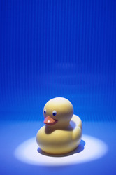 Similar image 8073134