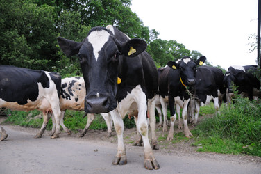 Similar image 8073136