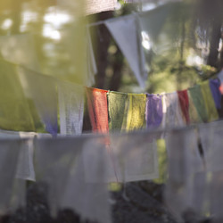 Similar image 8073139