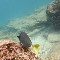 Similar image 8073174