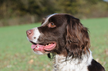 Similar image 8073183