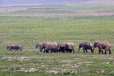 Similar image 8073186