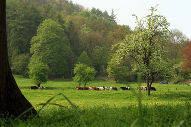 Similar image 8073196