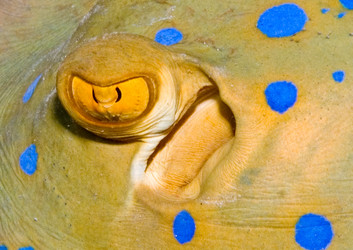 Similar image 8073197