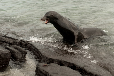 Similar image 8073225