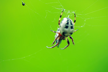 Similar image 8073231