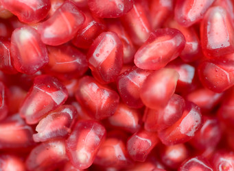 Similar image 8073235